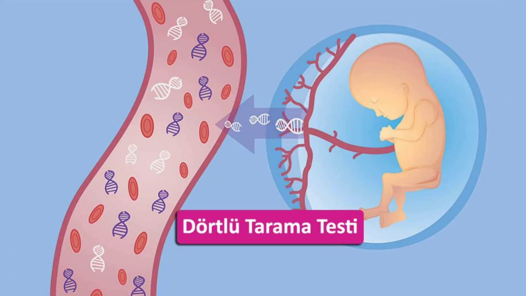 hamilelik testleri